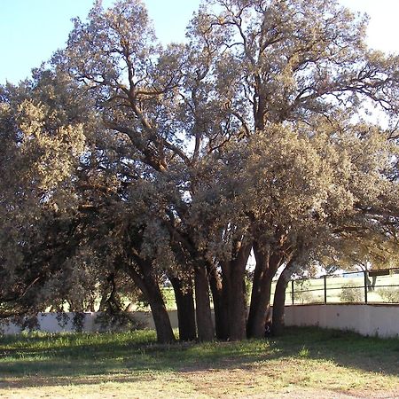 Agroturismo Calixto فِياروبليذو المظهر الخارجي الصورة